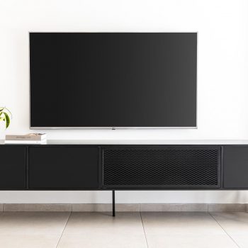 יחידת T.V Fernery